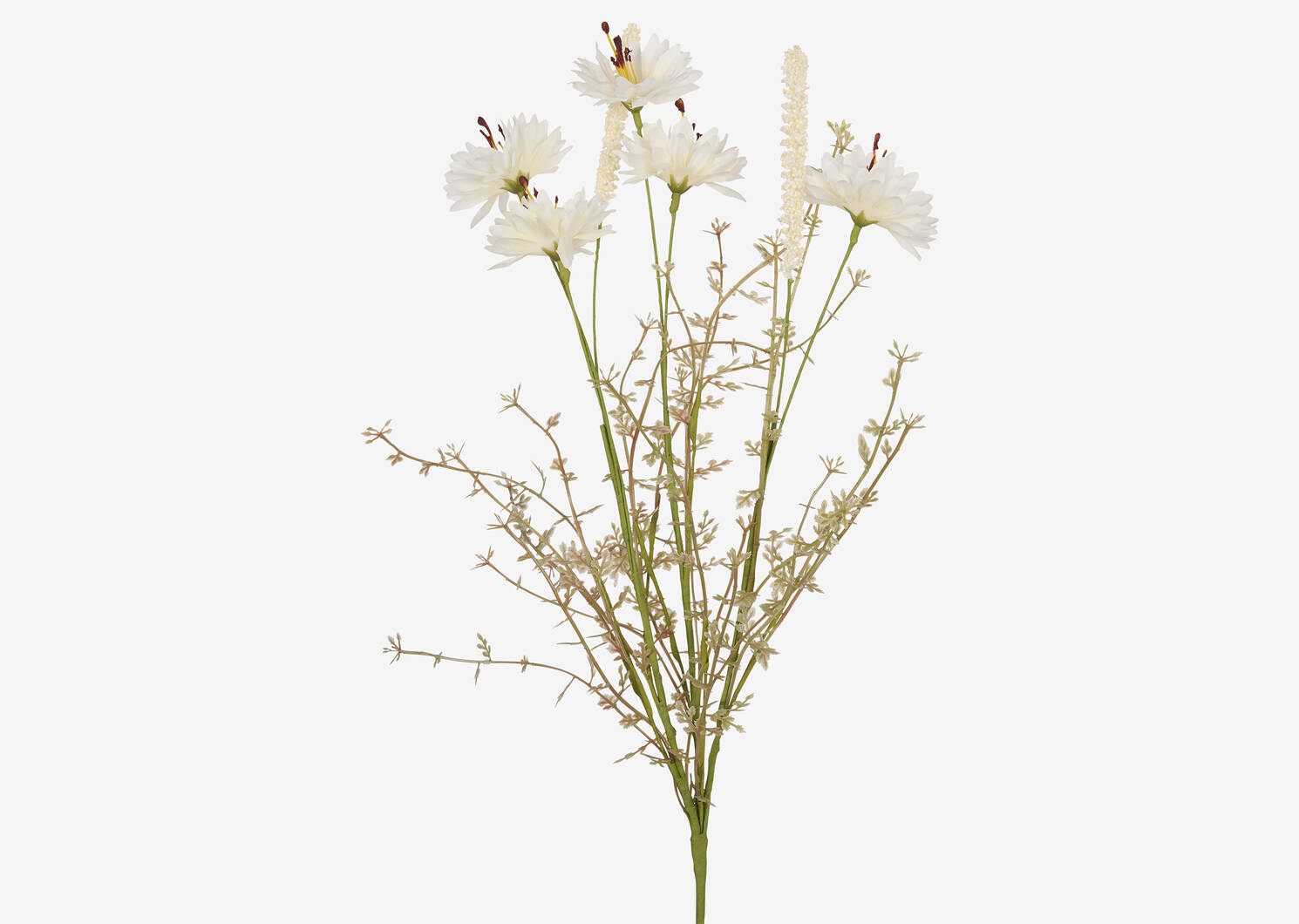 Tige de centaurées Rhona blanches