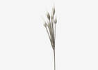 Valles Pinecone Cactus Grey/White