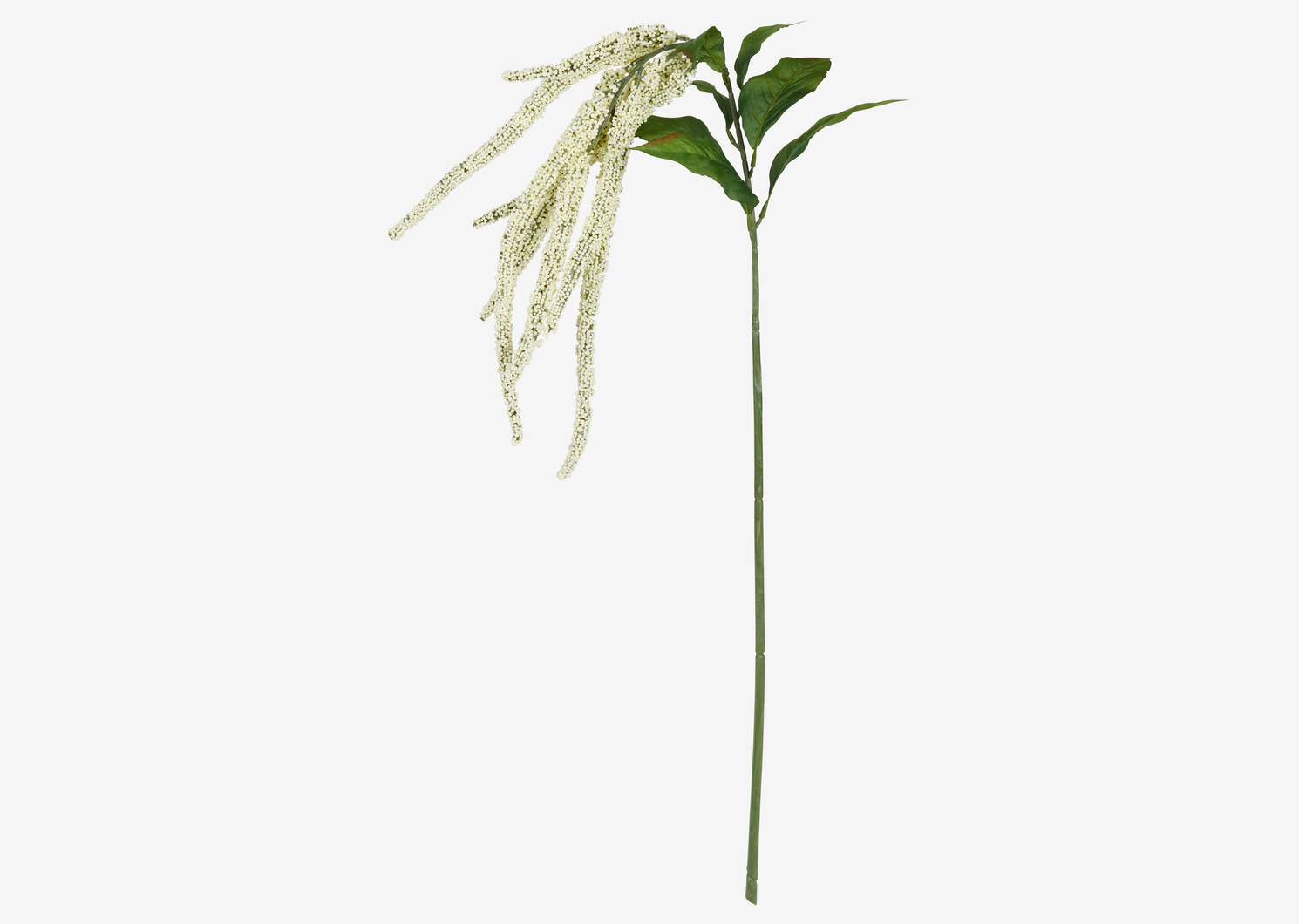 Glora Amaranthus Branch White