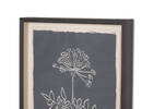 Woodland Angelica Framed Print