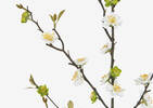 Aliana Plum Blossom Branch