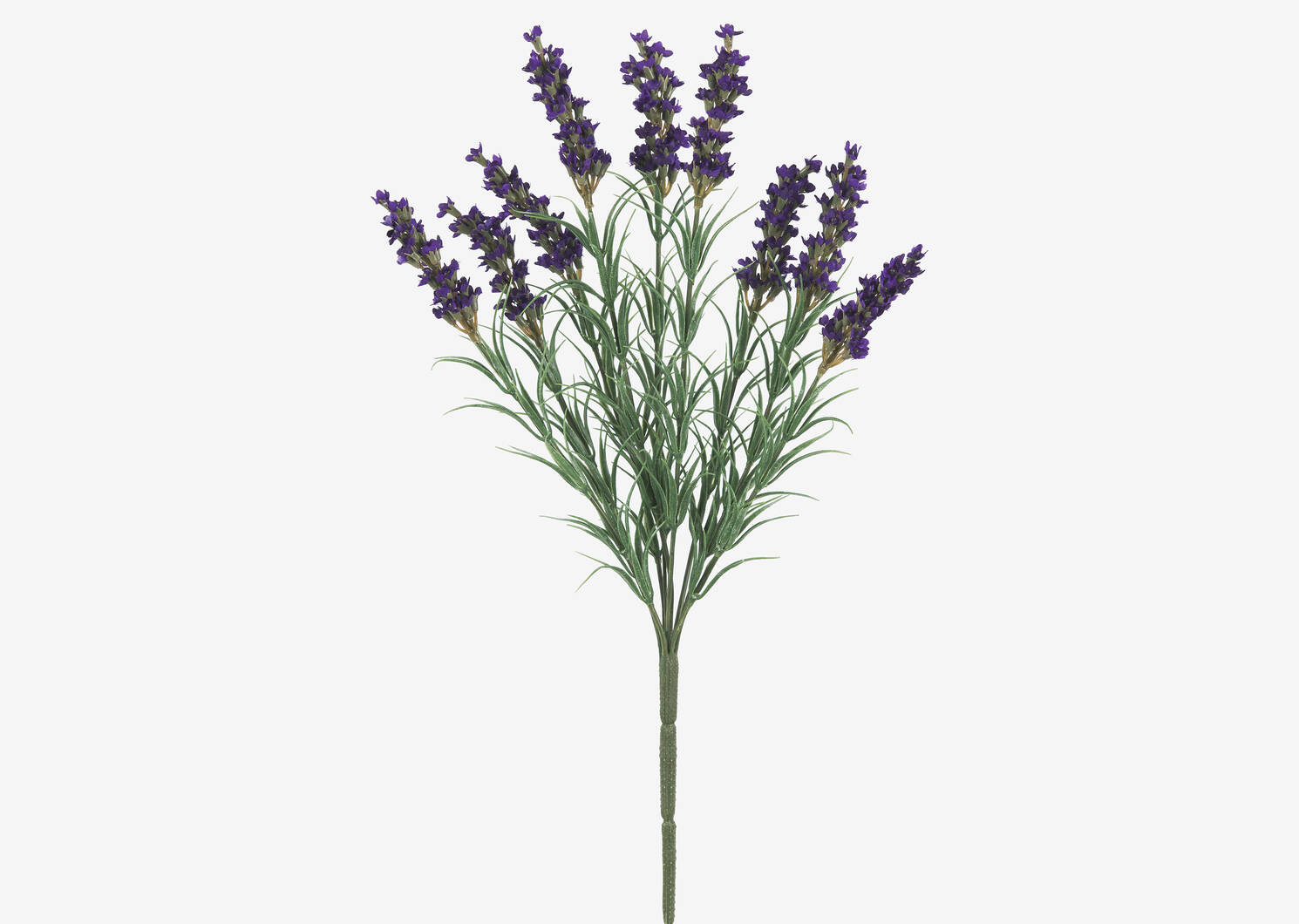 Hope Lavender Branch