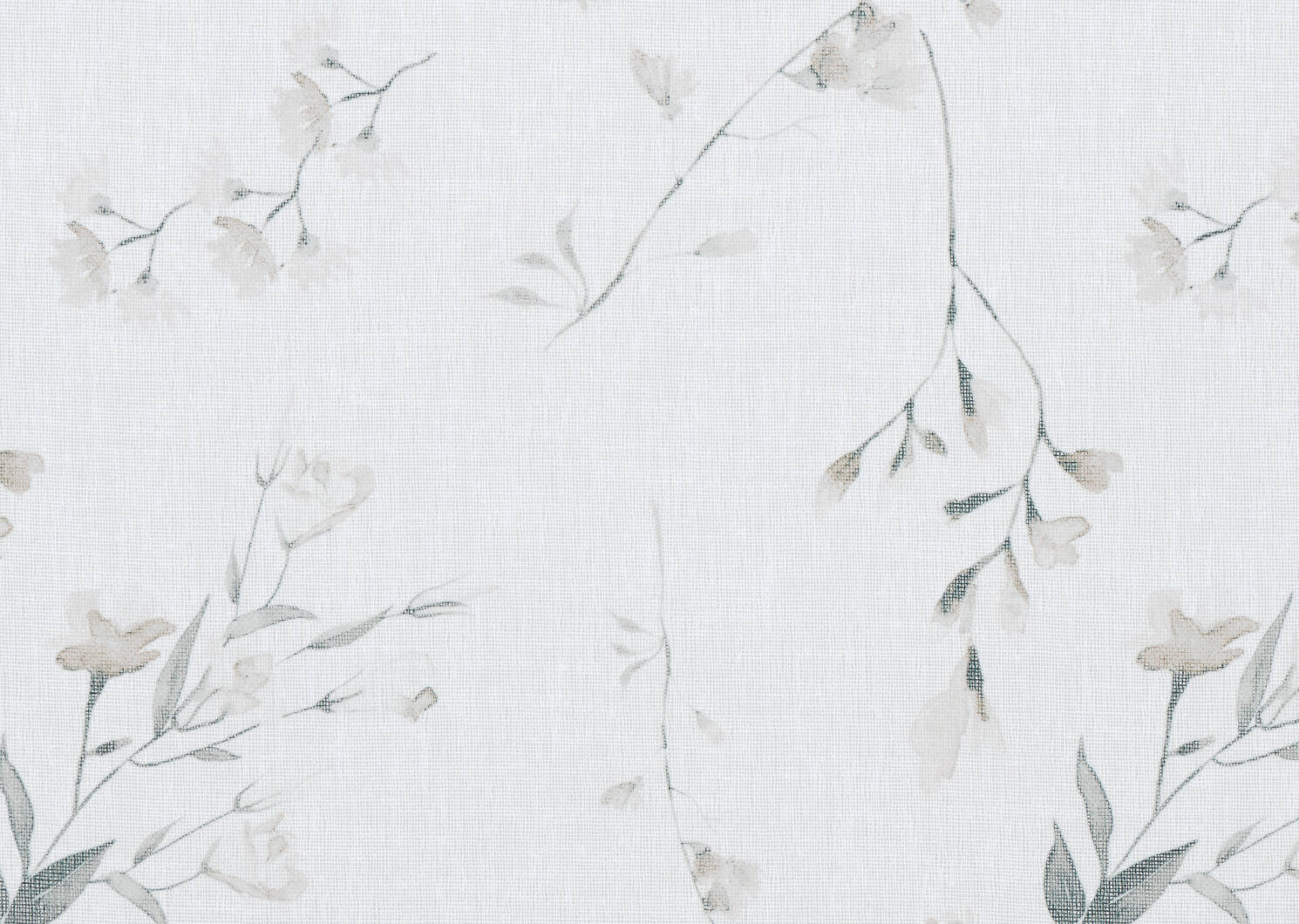 Sally Floral Sheer 96 Ivory/Multi