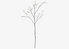 Truitt Seeded Willow Branch