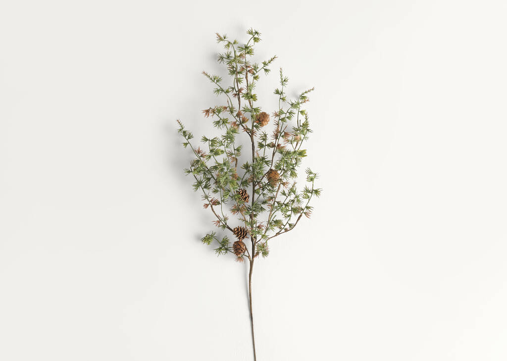 Sapling Pine Spray Branch