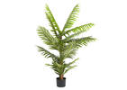 Raye Pearl Palm Tree Potted