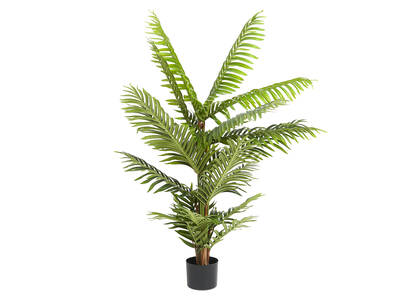 Raye Pearl Palm Tree Potted