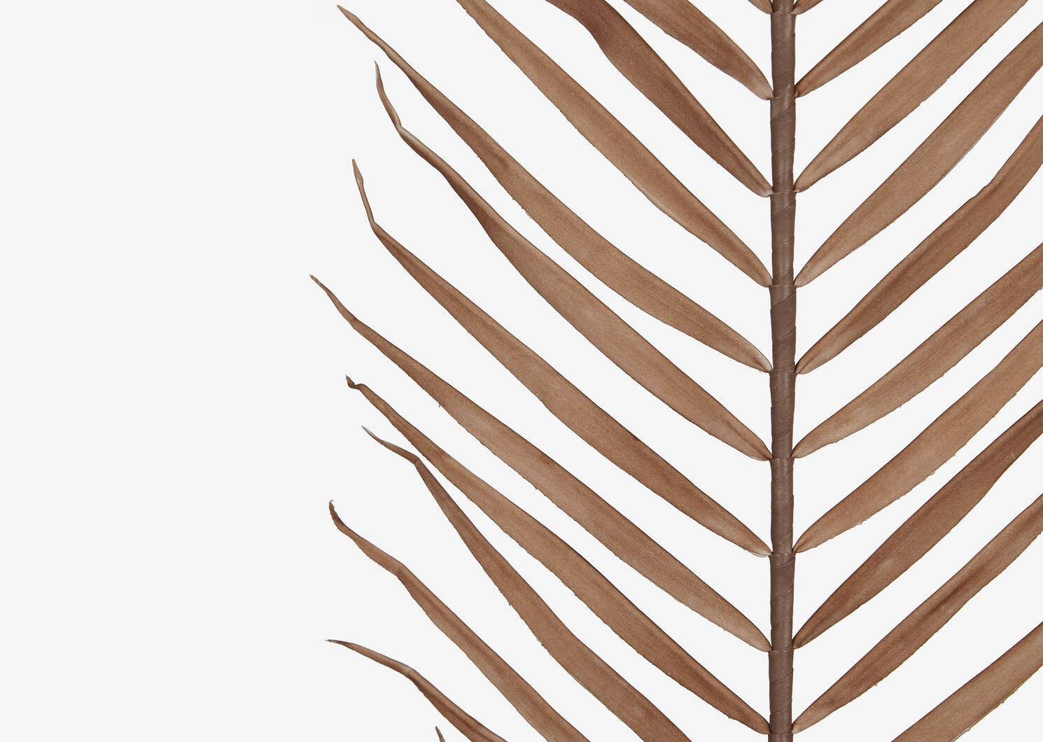 Zyla Palm Stem Tall Latte