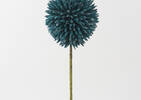 Katniss Allium Stem Spruce/Teal