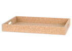 Carter Tray