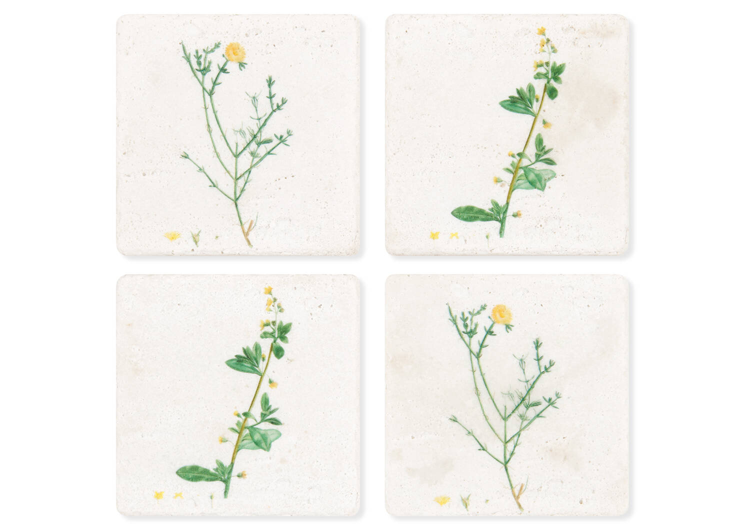 Ensemble de sous-verres Jasmine