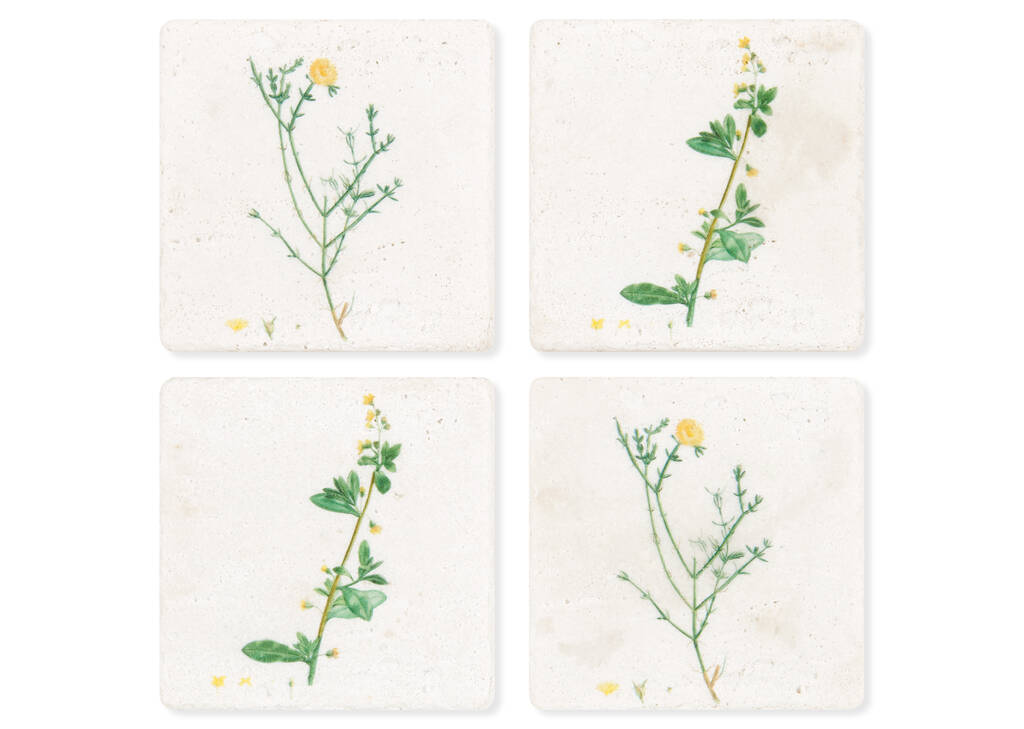 Jasmine Coaster Set