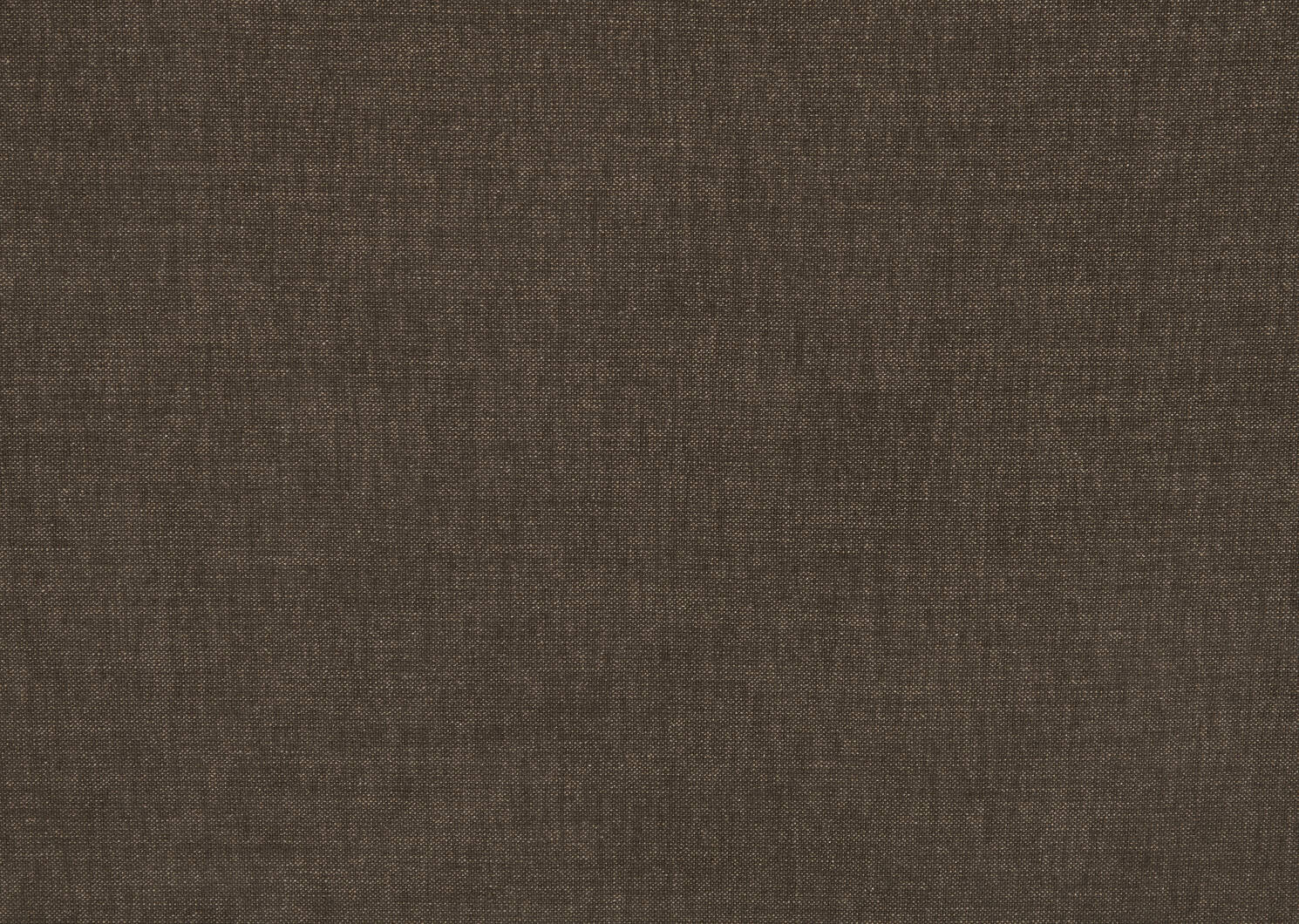 Easton Sofa Bed -Eva Coffee