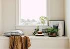 Jones Cotton Box Cushion 20x20 Grey