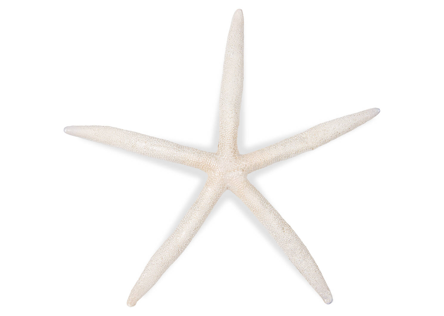 Safa Starfish Decor