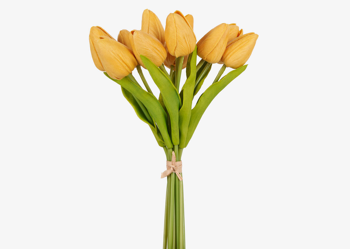 Bouquet de tulipes Berdine semoule