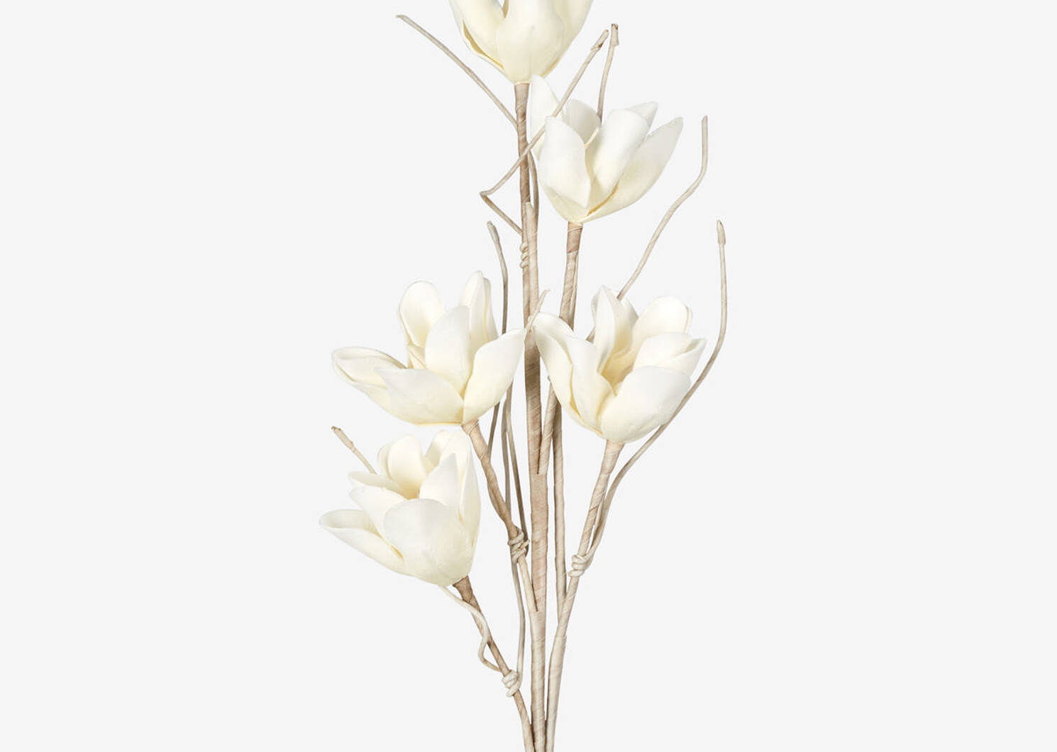 Hedi Flower Stem Milk