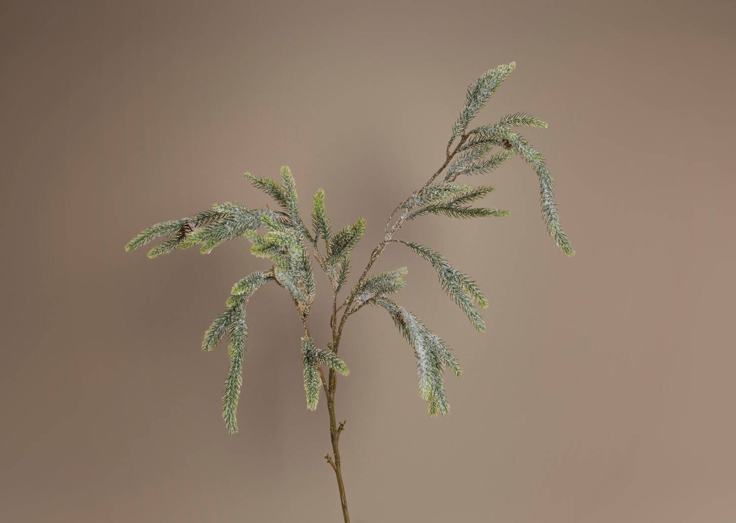 Icy Pine Branch