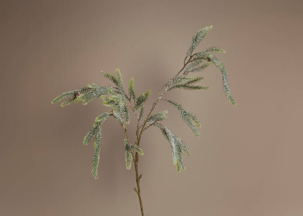 Icy Pine Branch