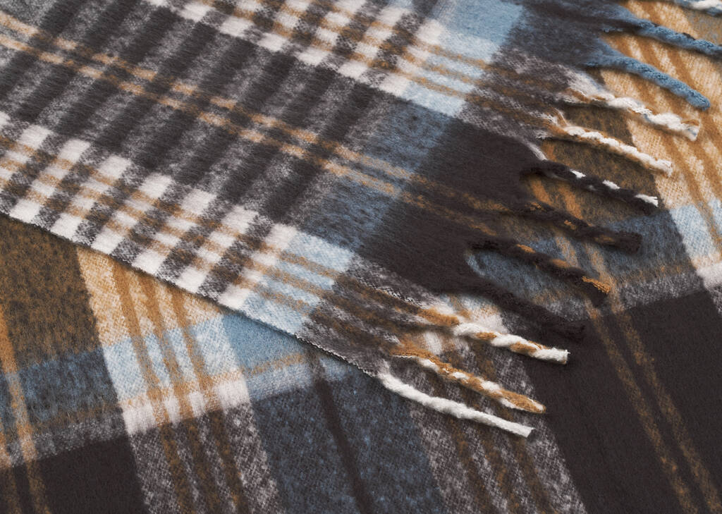 Remi Plaid Throw Multi/Blue
