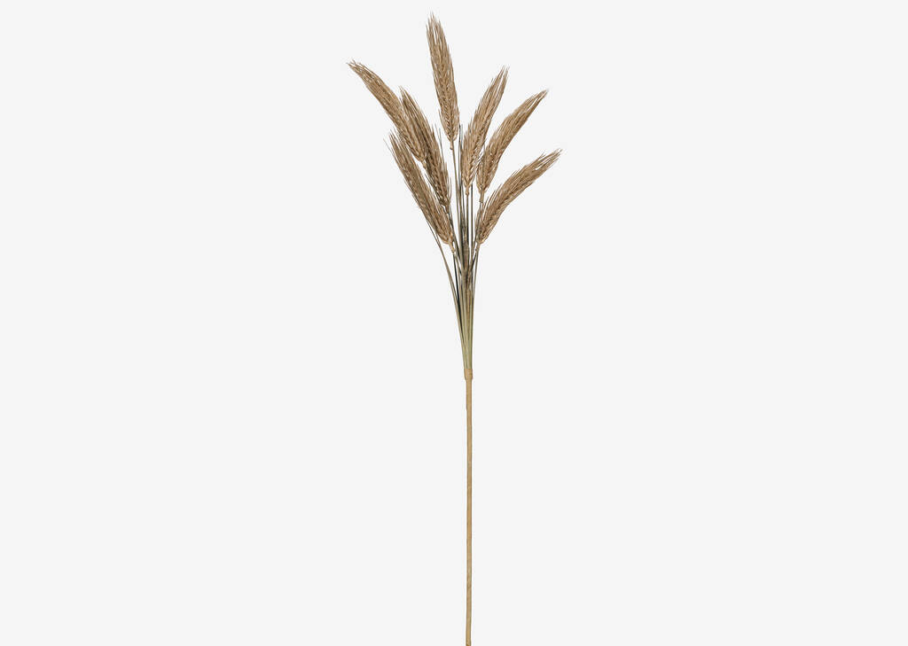 Byres Wheat Stem Caramel