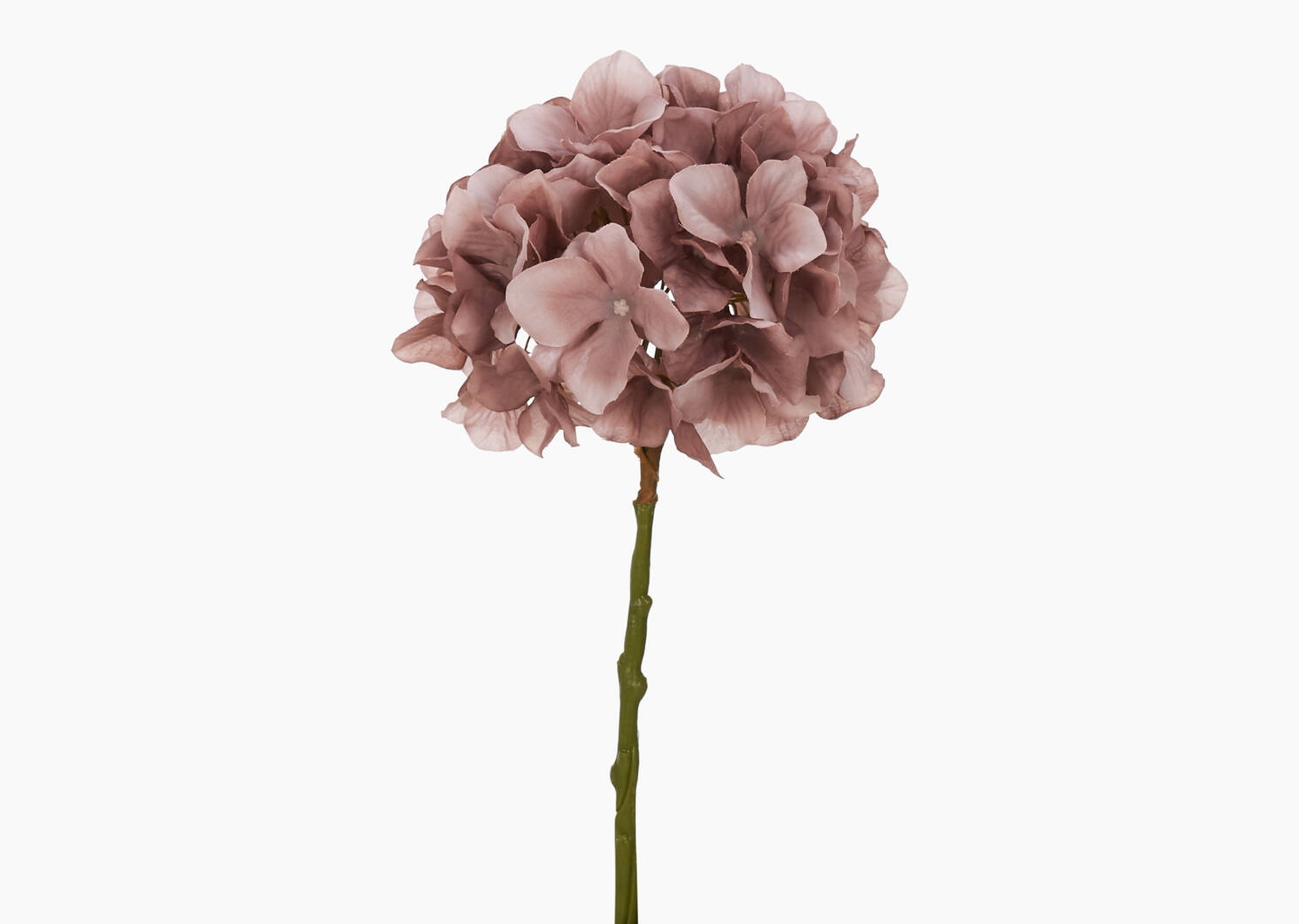 Shae Hydrangea Stem Ballet Pink