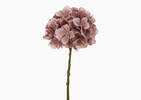 Shae Hydrangea Stem Ballet Pink