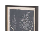Tableau Common Reed