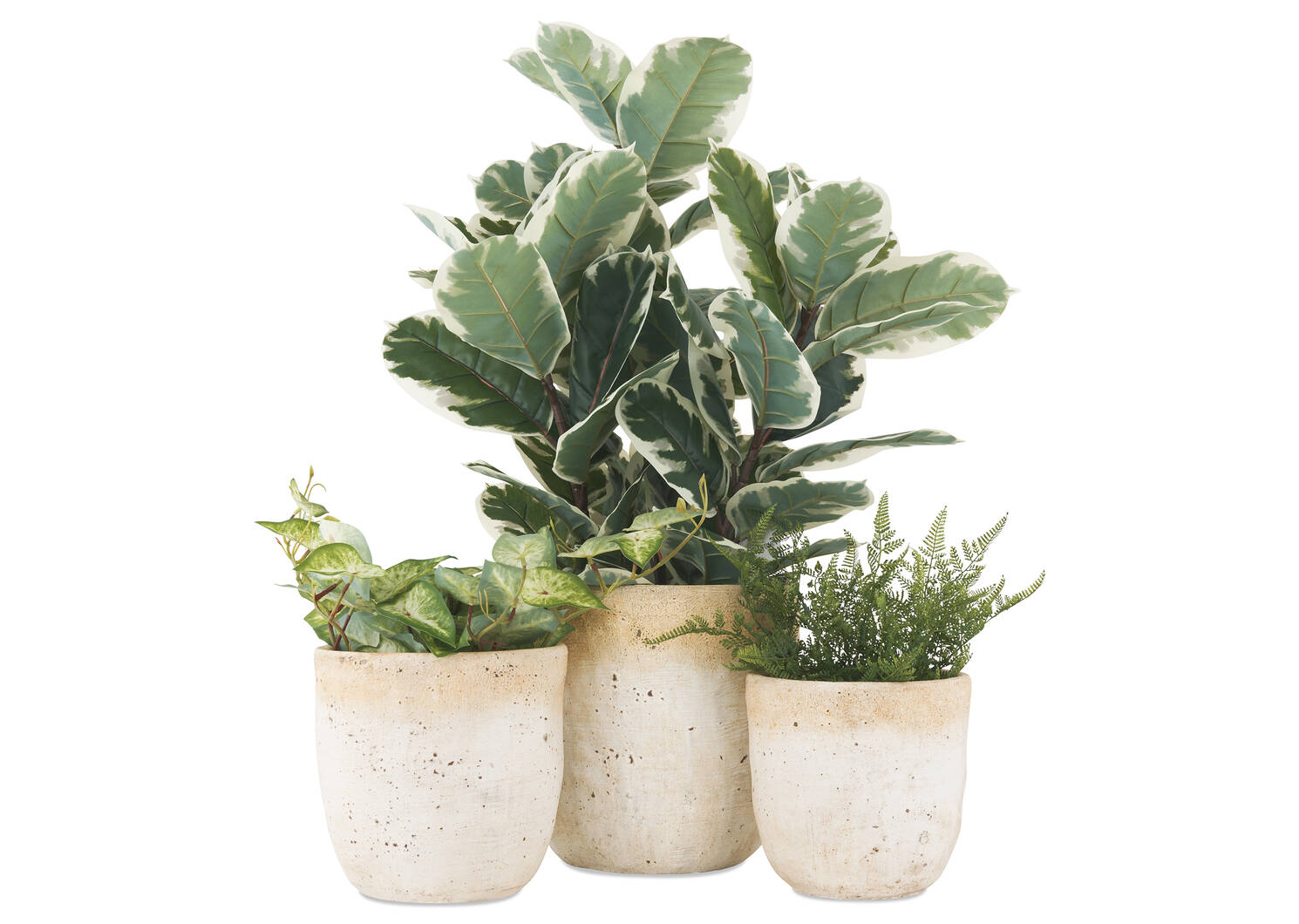 Olas Outdoor Planters