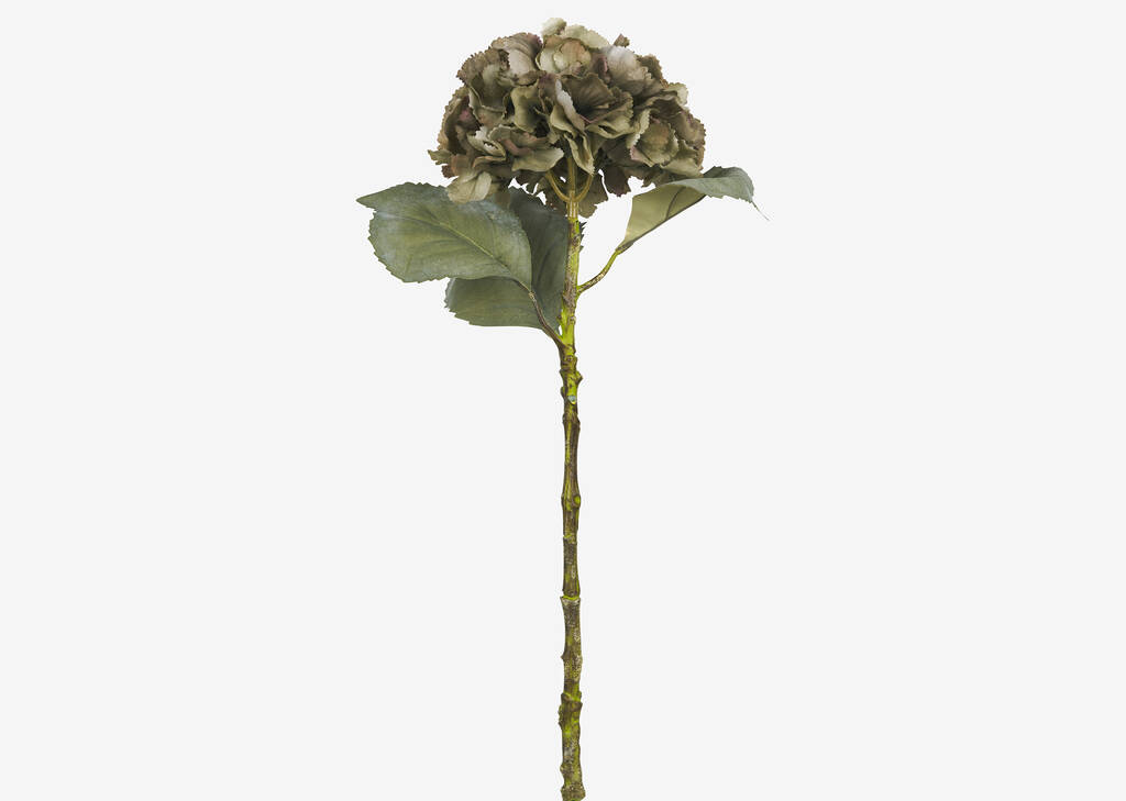 Adell Hydrangea Antique Green