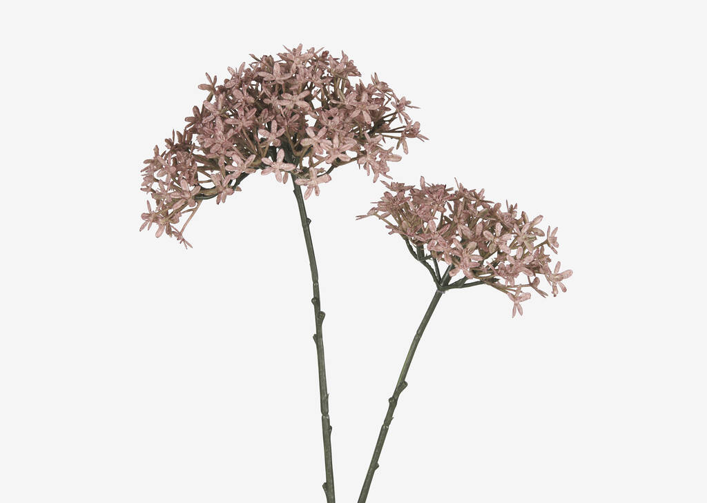 Dunne Allium Branch Lavender