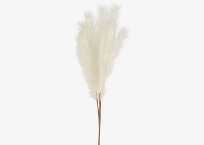 Marianna Pampas Bunch Natural