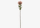 Jada Leucosper Mum Stem Pink