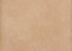 Murdoch Counter Stool -Allister Tan/Mink