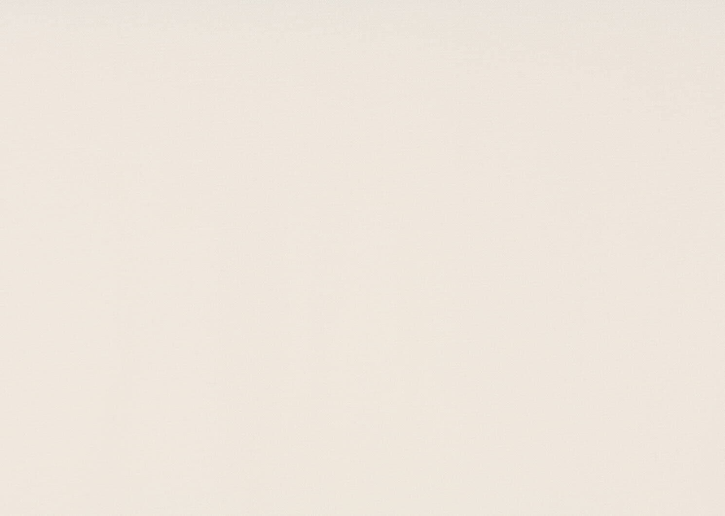Adalee Velvet Curtain 96 Ivory