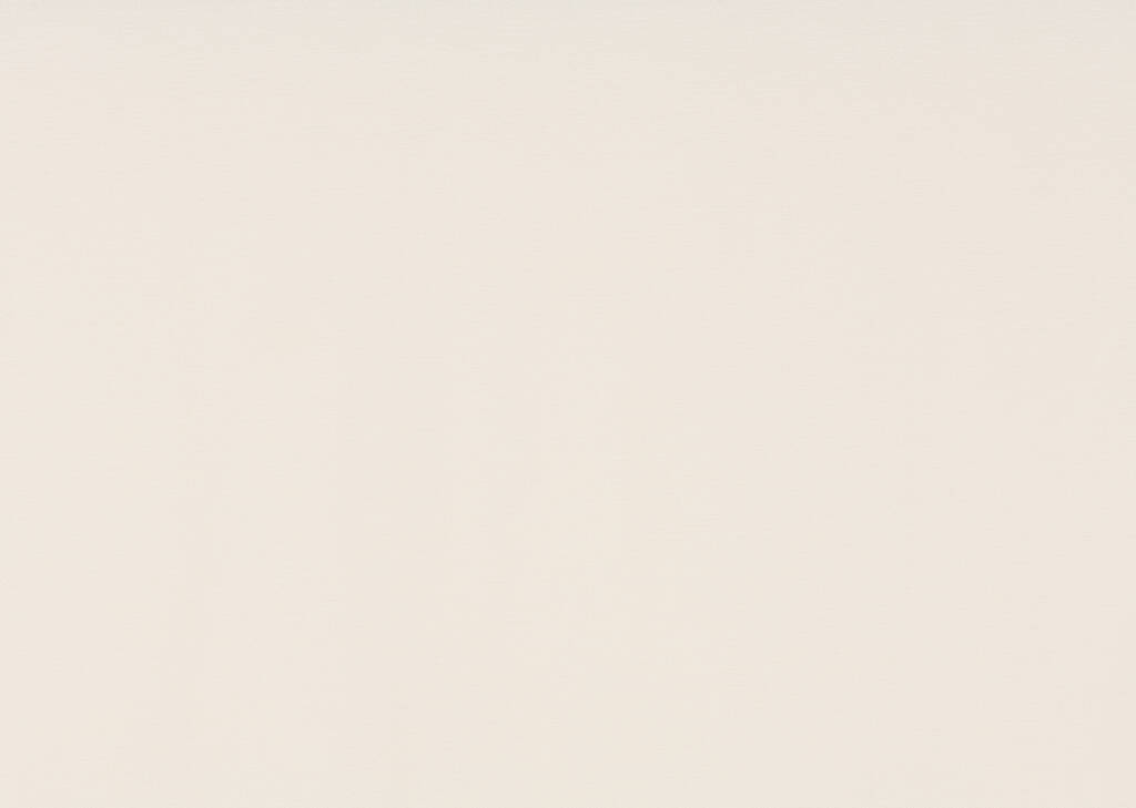 Adalee Velvet Curtain 96 Ivory