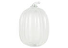 Pacey Pumpkin Large White