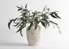 Vase Carmina et branches de feuilles gumnut Shay