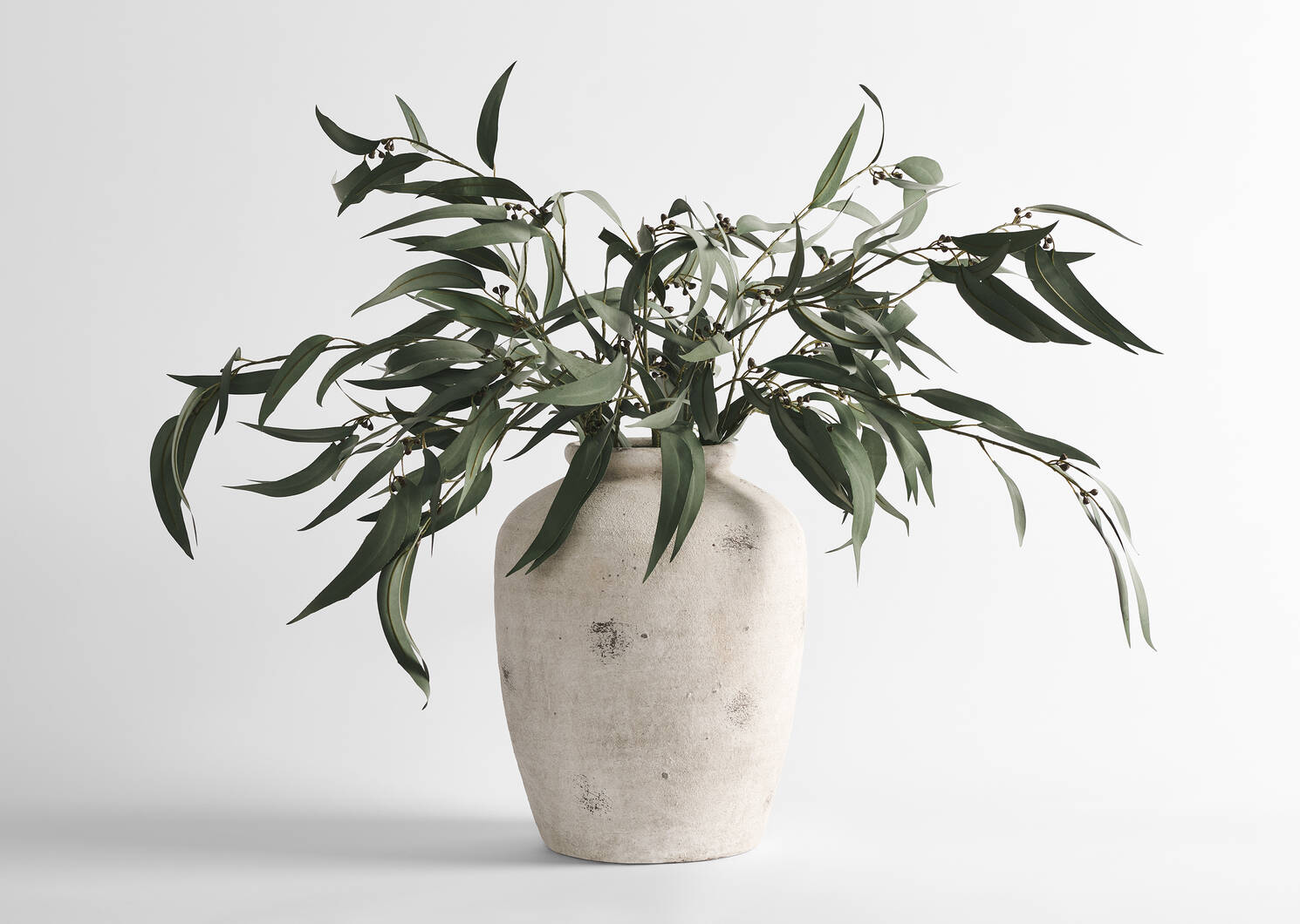 Vase Carmina et branches de feuilles gumnut Shay