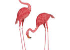 Faris Flamingo Garden Decor