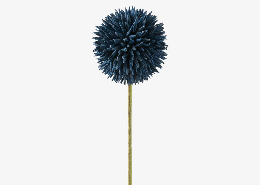 Tige d'allium Katniss bleu jet
