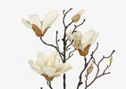 Amerie Magnolia Branch White