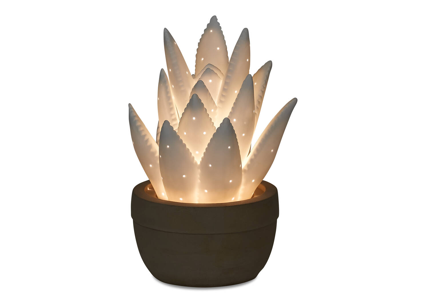 Lampe veilleuse agave Ally