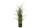 Martha Grass Potted Small