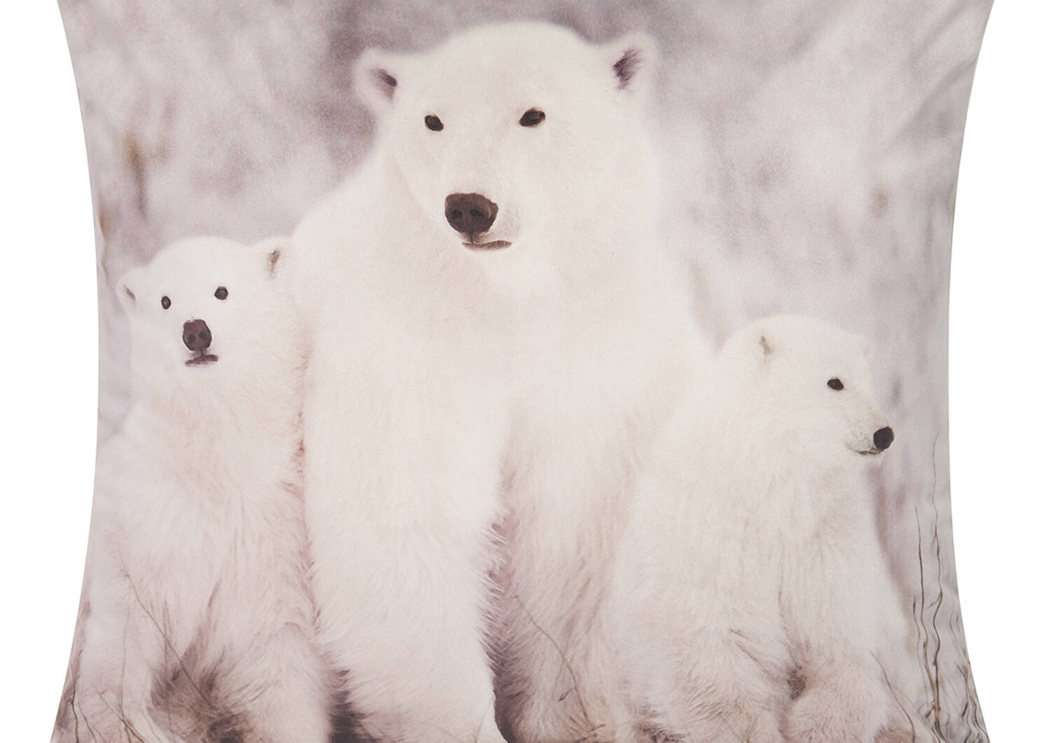 Coussin Polar Bear Family 20x20 blanc