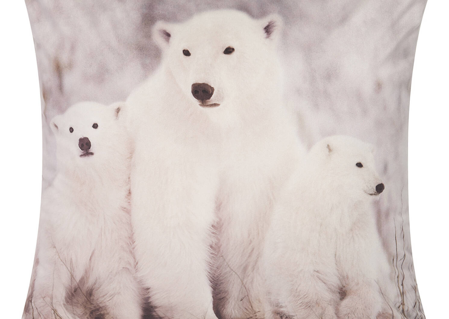 Polar Bear Family Toss 20x20 White
