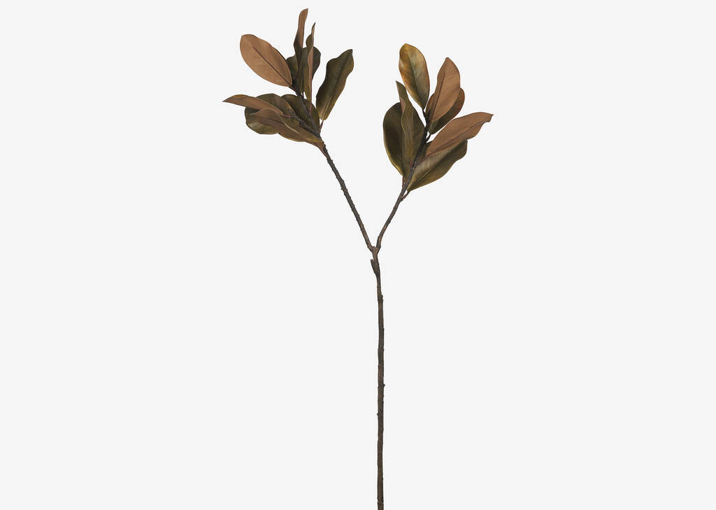 Bruno Magnolia Branch Brown
