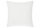 Gingko Biloba Toss 20x20 Sage