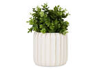 Dryden Planters