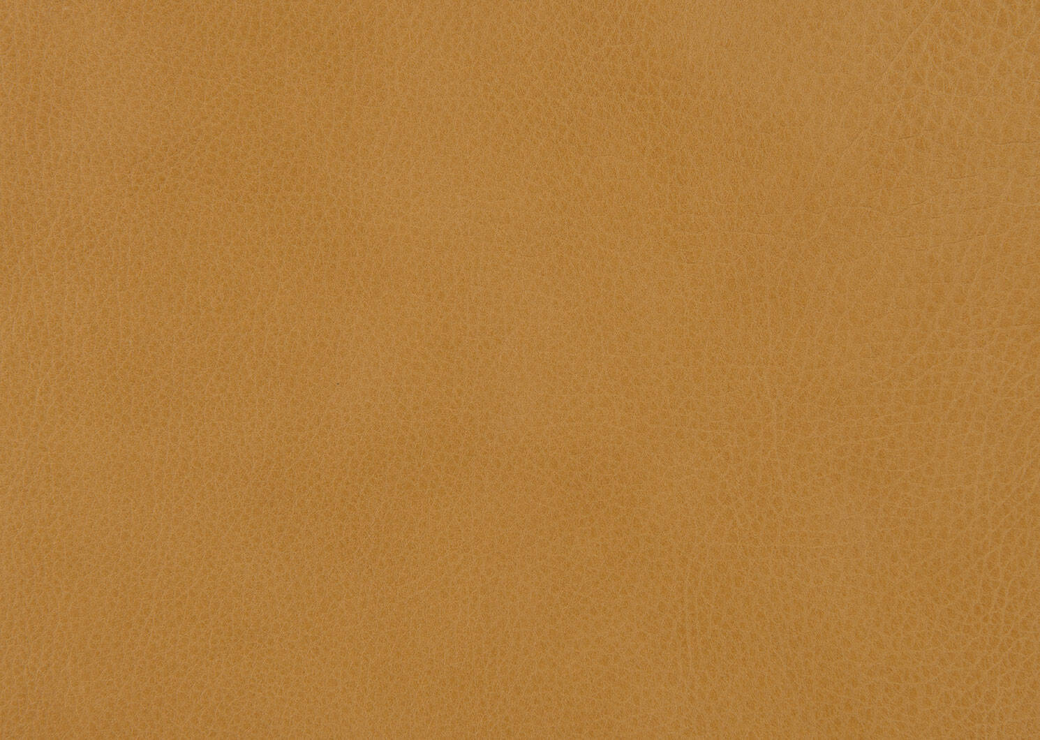 Lucca Custom Leather Sofa